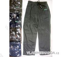 TEPLÁKY SLABÉ PÁNSKÉ NADROZMĚRNÉ (2XL-5XL) HaF W-807B