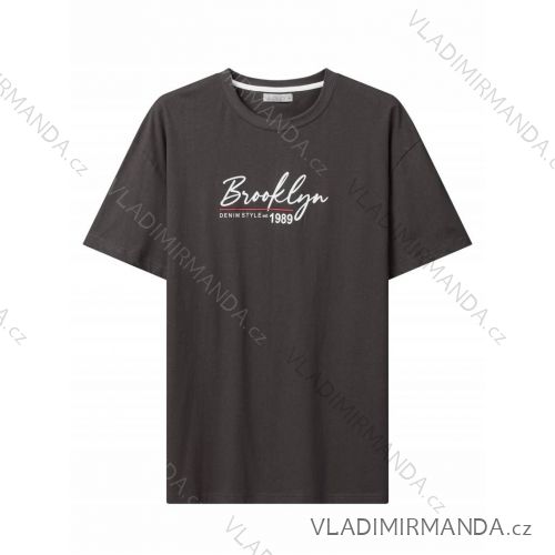 Tričko krátký rukáv pánské nadrozměr (3XL-6XL) GLO-STORY GLO24MPO-3509