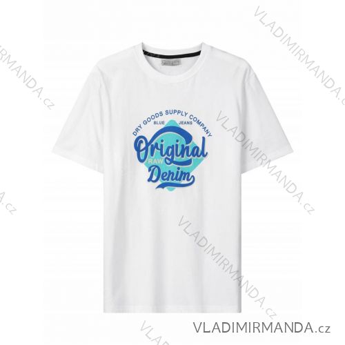 T-shirt short sleeve men's (M-2XL) GLO-STORY GLO24MPO-3520