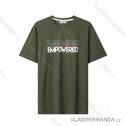 Tričko krátký rukáv pánské (M-2XL) GLO-STORY GLO24MPO-3536