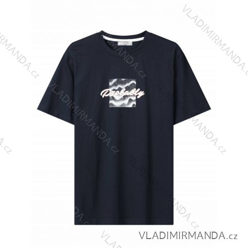 Tričko krátky rukáv pánske (M-2XL) GLO-STORY GLO24MPO-3507
