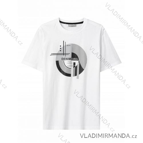 Tričko krátký rukáv pánské (M-2XL) GLO-STORY GLO24MPO-3513