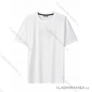 T-Shirt Kurzarm Herren Übergröße (3XL-5XL) GLO-STORY GLO24MPO-3510