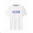 Tričko krátky rukáv pánske nadrozmer (3XL-6XL) GLO-STORY GLO24MPO-3534