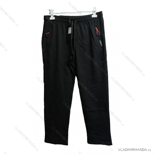 Slim men's sweatpants (XL-4XL EPISTER BES2428438