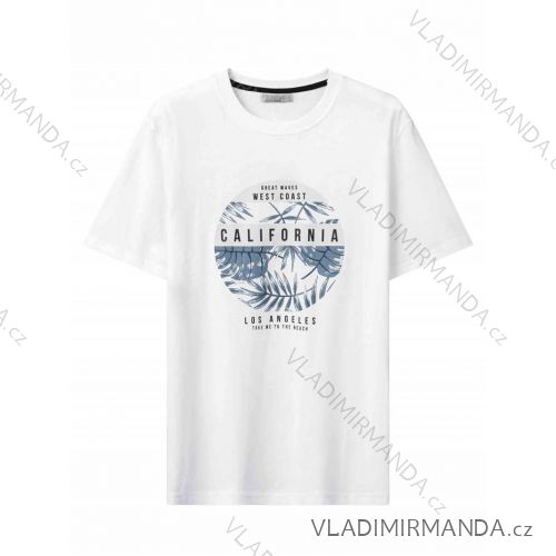 T-shirt short sleeve men's (M-2XL) GLO-STORY GLO24MPO-3496