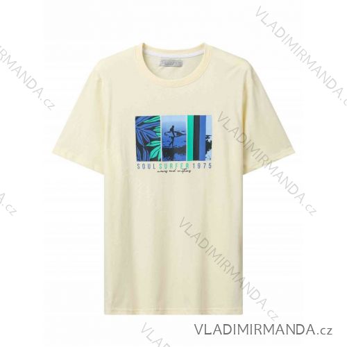 T-Shirt Kurzarm Herren (M-2XL) GLO-STORY GLO24MPO-3498