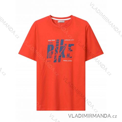 Tričko krátký rukáv pánské (M-2XL) GLO-STORY GLO24MPO-3556