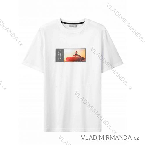 Tričko krátký rukáv pánské (M-2XL) GLO-STORY GLO24MPO-3559