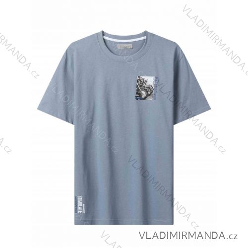 Tričko krátký rukáv pánské (M-2XL) GLO-STORY GLO24MPO-3476