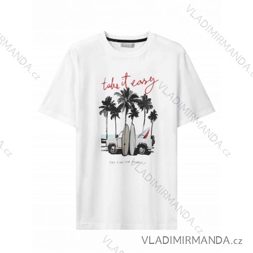 T-shirt short sleeve men's (M-2XL) GLO-STORY GLO24MPO-3459