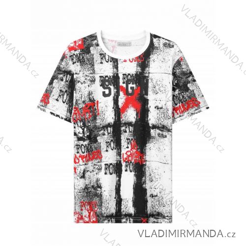 Tričko krátký rukáv pánské (M-2XL) GLO-STORY GLO24MPO-3468