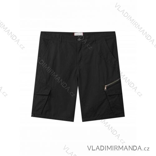 Kraťasy pánske nadrozmer (3XL-6XL) GLO-STORYGLO24MMK-4395-1