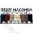 Mittellanger Damenrock (Einheitsgröße S/M) ITALIAN FASHION IMM23HG3154