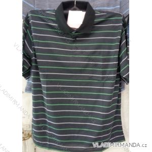 Tričko s límečkem krátký rukáv pánské nadrozměrné (l-4xl) BATY PCS-DET-TUI