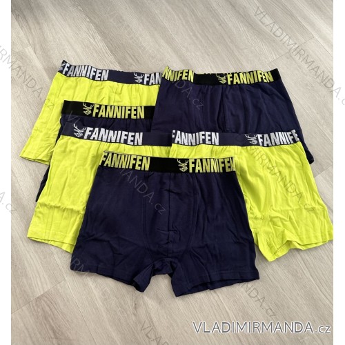 Men's boxer shorts cotton (L-3XL) FANNIFEN PES22G55450-K Color Mix L