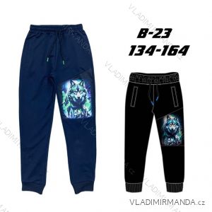 Long tracksuits for boys (134-164) SEASON SEZ25B-23