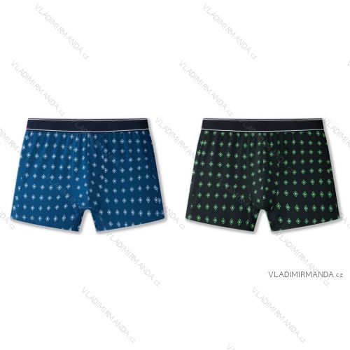 Trenírky pánske (M-3XL) WOLF L2583