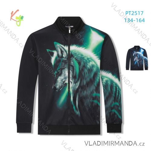 Mikina teplá dlouhý rukáv dorost chlapecká (134-164) KUGO PT2517