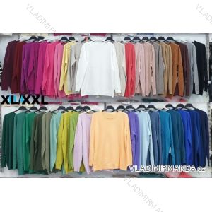 Svetr tenký dlouhý rukáv dámský nadrozměr (42/44/46 ONE SIZE) IMWDF255549