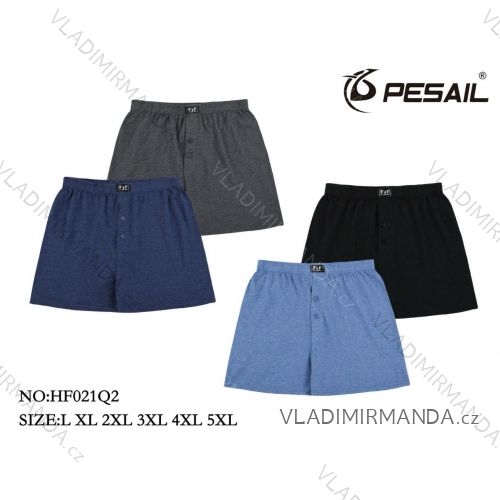 Trenýrky pánské nadrozměr (L-5XL) FNF25HF021Q2