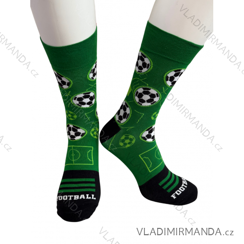 Men's socks thin (42-46) POLISH MODA DPP20003  green
