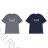Men's short sleeve T-shirt, oversized (M-3XL) WOLF S2571/PIECE