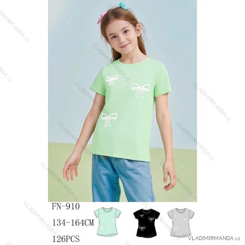 Tričko krátký rukáv dorost dívčí (134-164) SEZON SEZ26FN-910