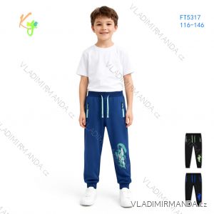 Children's boy's winter jacket (98-128) KUGO FB0296