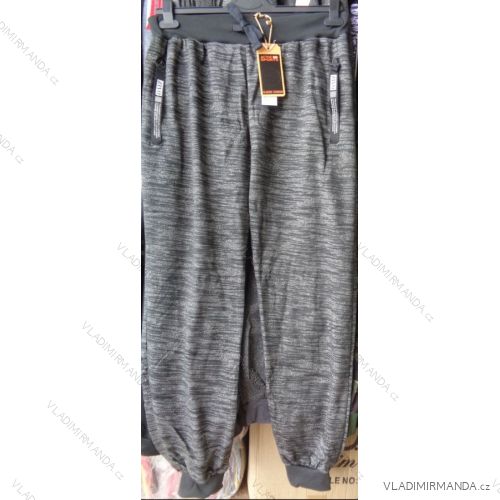 Tepláky pánské (m-3xl) ACTIVE SPORTS HZ-6324