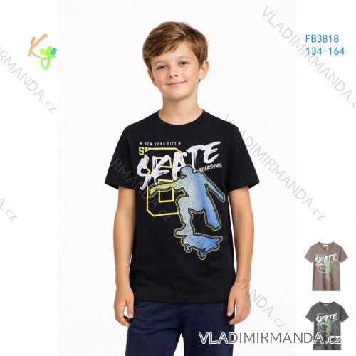 Short sleeve T-shirt for boys (134-164) KUGO FB3818