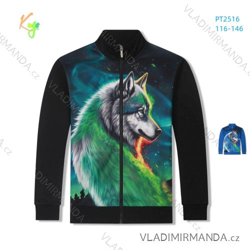 Warmes Sweatshirt mit Reißverschluss, lange Ärmel, Kinder bis Jugend Jungen (116-146) KUGO PT2515