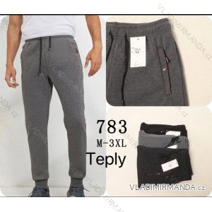 Tepláky dlouhé teplé pánské nadrozměr (M-3XL) SEZON SEZ26783
