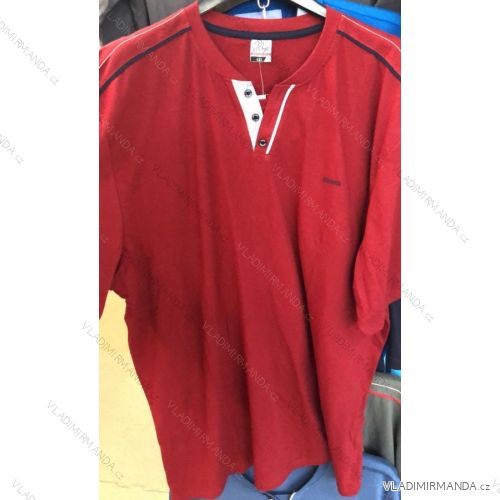 Herren Kurzarm T-Shirt Übergröße (3x1-6xl) DYNAMIC OBS19088