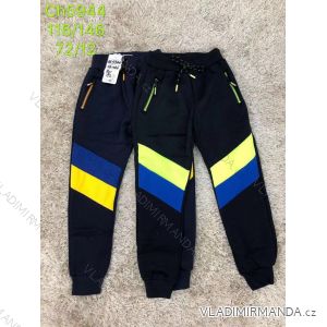 Jogginghose lange jugendliche Jungen (116-146) SAD SAD19CH5944