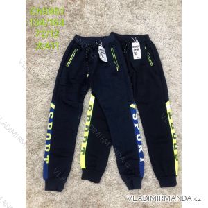 Jogginghose für Jungen (134-164) SAD SAD19CH5951
