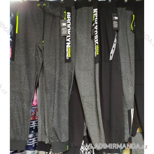 Men's Sweatpants (m-3xl) POLISH FASHION IM1019QNA-1069