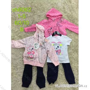 Jogginghose, Kapuzenpullover und T-Shirt Baby Baby (1-5 Jahre) SAD SAD20CH6062
