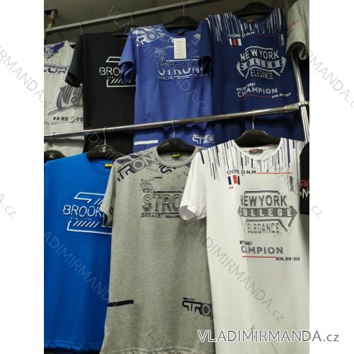 TRIČKO KRÁTKÝ RUKÁV PÁNSKÉ (M-2XL) TURECKÁ MÓDA IMBS20103