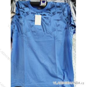 Tričko s límečkem krátký rukáv pánské (l-3xl) BATY BAT21PNAM-XUOCNGUC-T