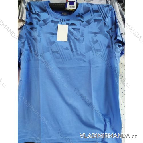 Tričko s límečkem krátký rukáv pánské (l-3xl) BATY BAT21PNAM-XUOCNGUC-T