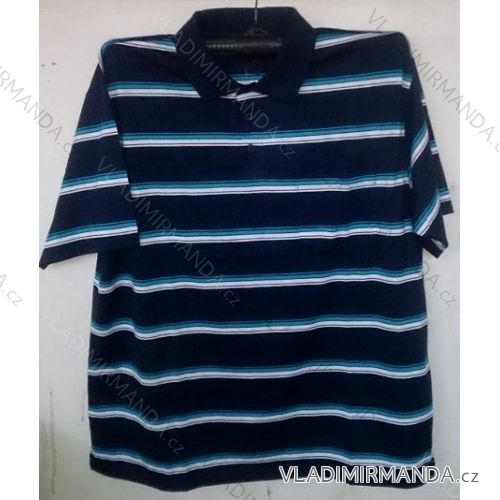 Herren Poloshirt (l-3xl) BATY PNAM-4 SOC-BE
