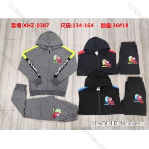 Set Kapuzen-Sweatshirt mit Reißverschluss und Jogginghose Jungen (134-164) ACTIVE SPORT ACT21XHZ-0388