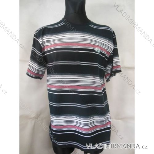 Tričko krátký rukáv bavlněné pánské (m-2xl) DYNAMIC 622667