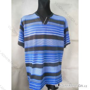 Tričko krátký rukáv  pánské nadrozměrné (2xl-5xl) DYNAMIC 142/135/2125