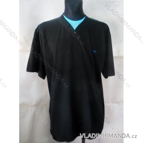 Tričko krátký rukáv  pánské  bavlněné nadrozměrné(2xl-5xl) DYNAMIC 137/46/3034