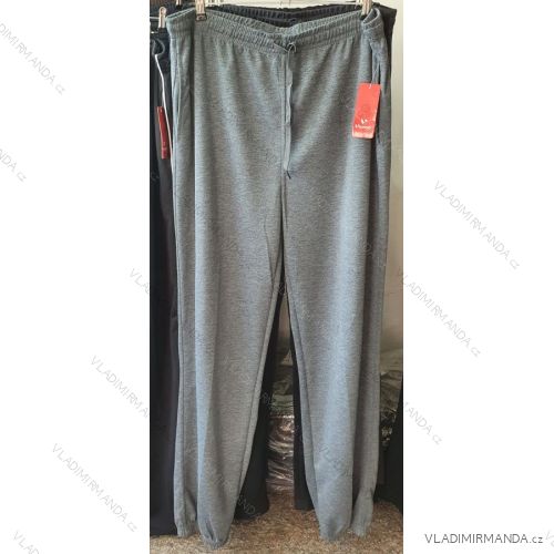 Tepláky dlhé pánske   (M-2XL) TIN21NCK201-3