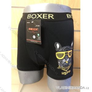 Boxerky pánské (M-3XL) BOXER BOX21JM-629