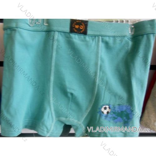 Boxing boys (8-16 years old) WD WD24