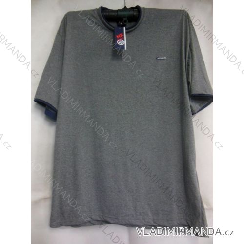 Tričko krátky rukáv Bavlnené pánske (3XL-6XL) OBSESS 4233000